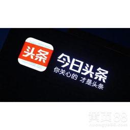 宁波最新爆料今日头条,今日头条揭秘城市热点事件